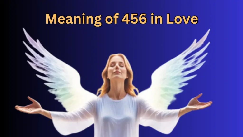 Meaning of 456 in Love