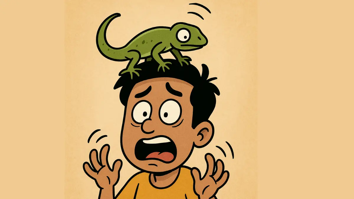 शुक्रवार को छिपकली गिरने से क्या होता है
